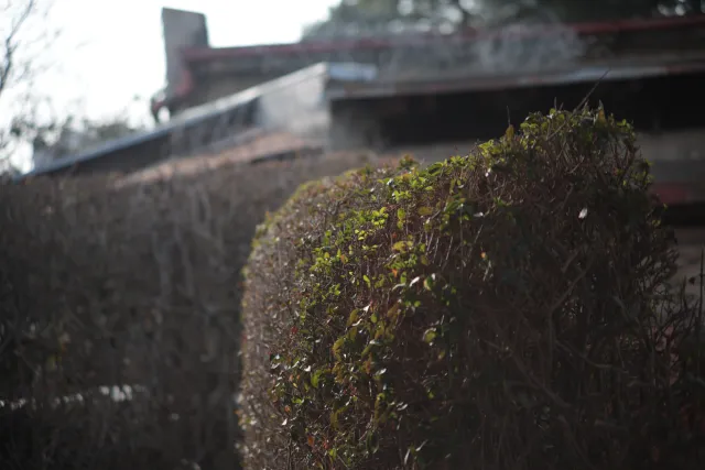 Formula 5 Gold Crown Macro Zoom 60-150mm f4 MC (M42) - 00005007.webp