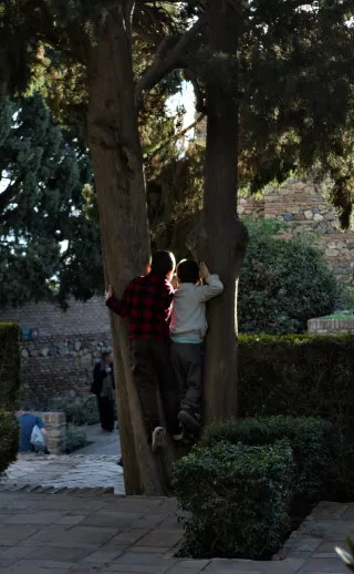 Meyer-Optik Görlitz Primagon 35mm f4.5 (M42) - 00001202.webp