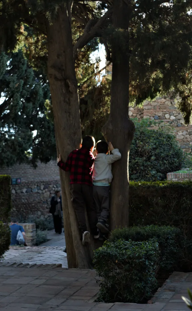 Meyer-Optik Görlitz Primagon 35mm f4.5 (M42) - 00001202.webp