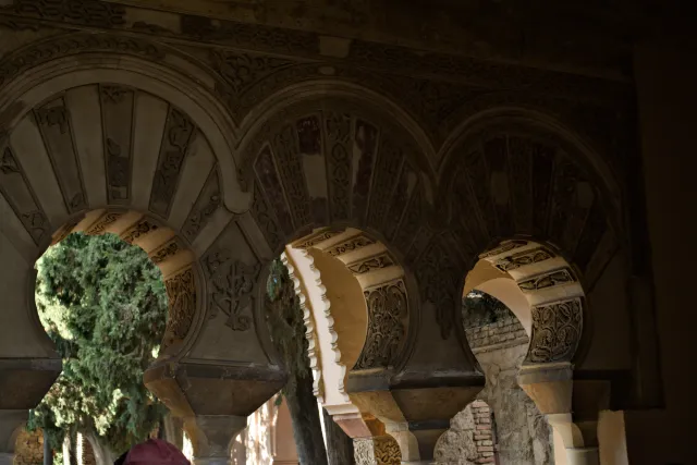 Meyer-Optik Görlitz Primagon 35mm f4.5 (M42) - 00001182.webp