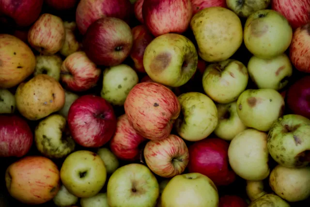 Jena Biotar 58mm f2.0 (wczesny, ~1953) (M42) - 00000036.webp