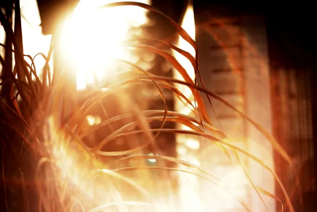 Yashica Lens DSB 55mm f2 (CY) - 00005384.webp