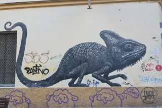 Tokina at-x 116 (EF) - 00000200.webp