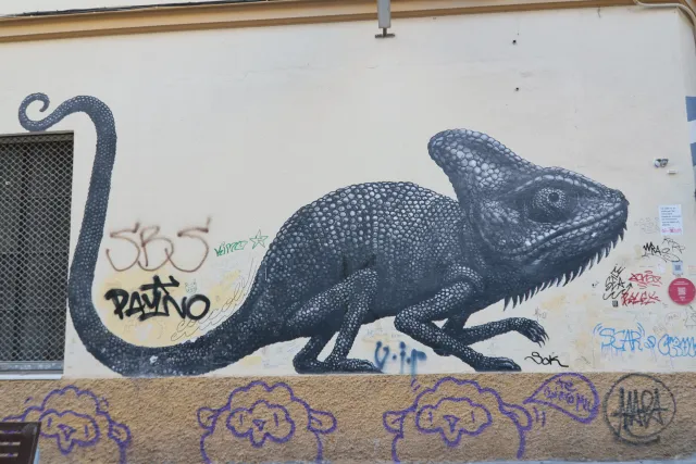 Tokina at-x 116 (EF) - 00000200.webp