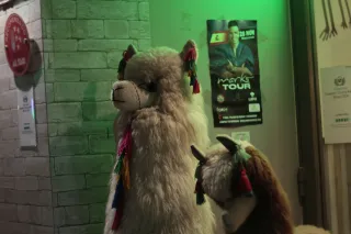 Zenith Helios-77M-4 50mm f1.8 VOMZ (M42) - 00002660.webp