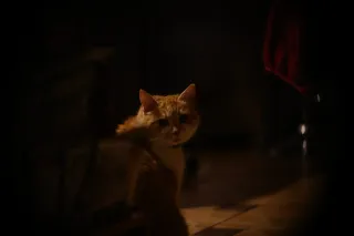 Simplex Ampro Ltd 2.5cala (63.5mm) f1.8 16mm (DIY) - 00002228.webp