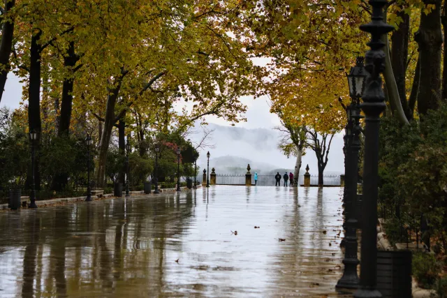 Tamron 28-300mm F3.5-6.3 (EF) - 00001450.webp