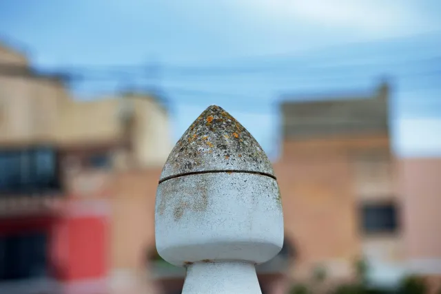 Tair-11A 135mm f2.8 (M42) - 00003323.webp