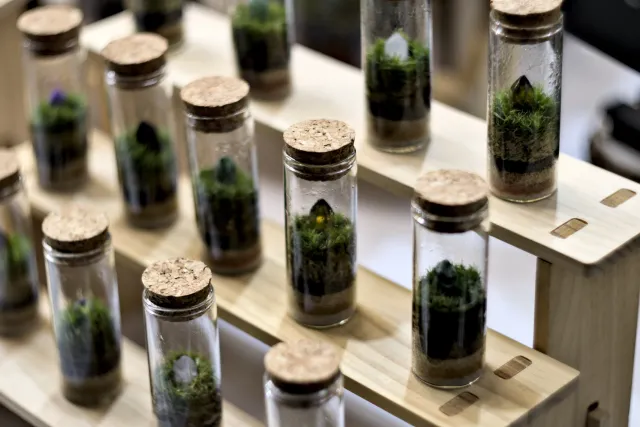 Zenith Helios-77M-4 50mm f1.8 VOMZ (M42) - 00001303.webp