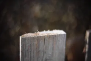 KOWA SUPER PROMINAR-16 50mm f1.2 Eiki 16mm (DIY) - 00002087.webp