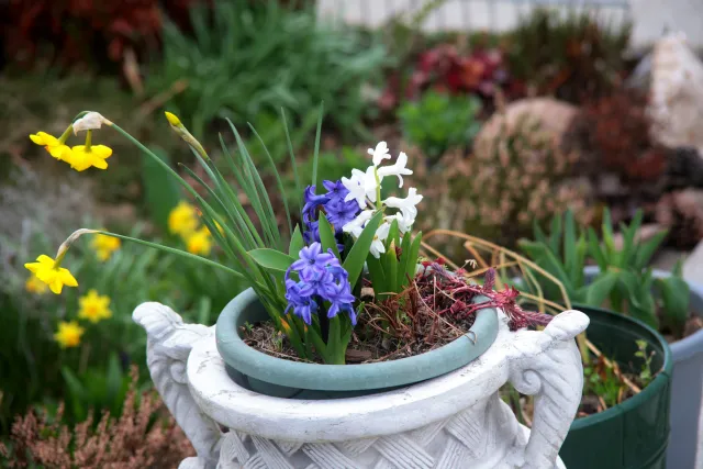 SMC Pentax 45-125mm f4 (Pentax-K) - 00005698.webp