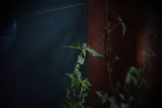 Simplex Ampro Ltd 2.5cala (63.5mm) f1.8 16mm (DIY) - 00002209.webp