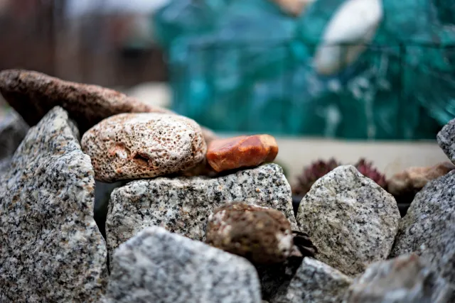 Yashica Lens DSB 55mm f2 (CY) - 00005223.webp