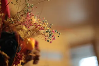 Rollei Planar 50mm f1.8 HFT C (QBM) - 00001568.webp