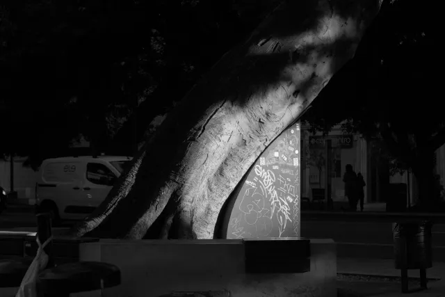 Zenith Helios-77M-4 50mm f1.8 VOMZ (M42) - 00000658.webp