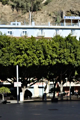 Zenith Helios-77M-4 50mm f1.8 VOMZ (M42) - 00000624.webp