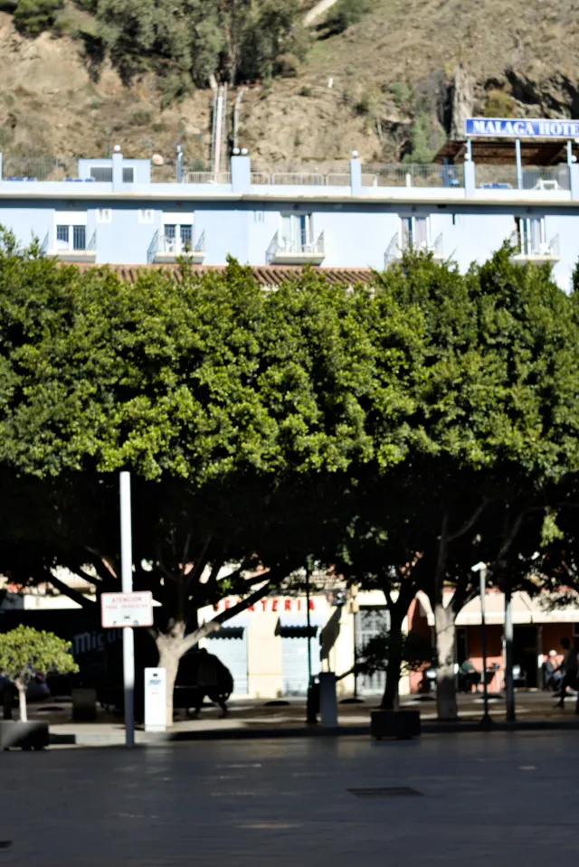 Zenith Helios-77M-4 50mm f1.8 VOMZ (M42) - 00000624.webp