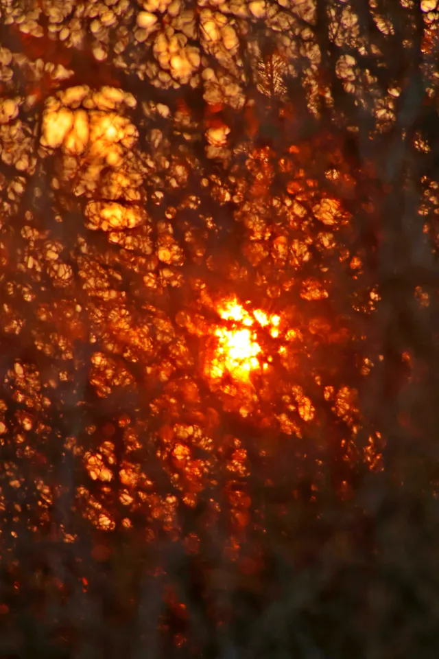 Spiratone Plura-Coat SharpShooter-S 400mm f6.3 (T2-M42) - 00005354.webp