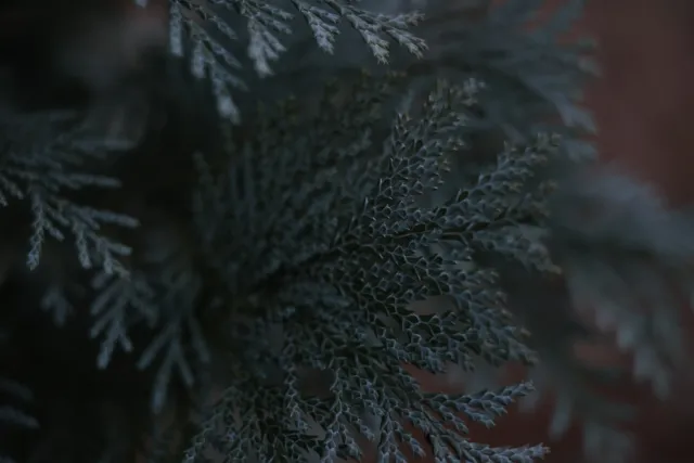 Kilfitt Makro-Kilar D f2.8 40mm (EXA) - 00004889.webp