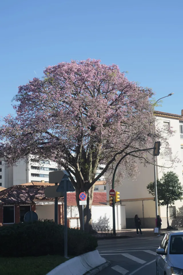 Meyer-Optik Görlitz Primagon 35mm f4.5 (M42) - 00002505.jpg