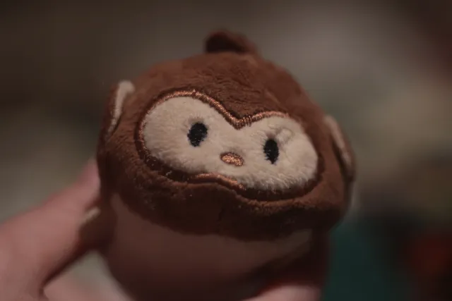 ISCO-Göttingen Projar 85mm f2.8 (DIY) - 00001537.webp