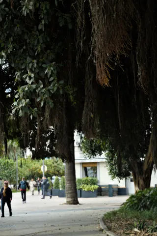 Meyer-Optik Görlitz Primagon 35mm f4.5 (M42) - 00000453.webp