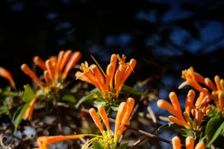 Auto Exaktar EEM 35mm f2.8 ( Minolta MD) - 00002718.webp