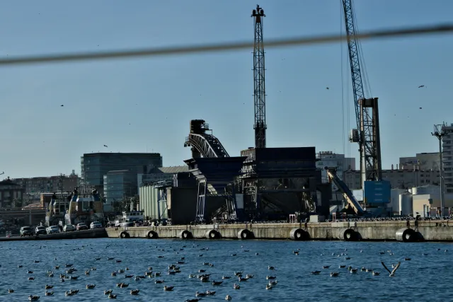 Tamron 28-300mm F3.5-6.3 (EF) - 00000405.webp