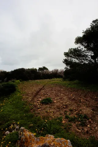 Carl Zeiss Flektogon f4 20mm (m42).md - 00004509.webp