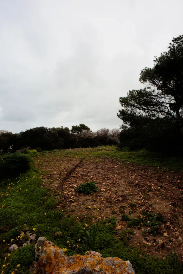 Carl Zeiss Flektogon f4 20mm (m42).md - 00004509.webp