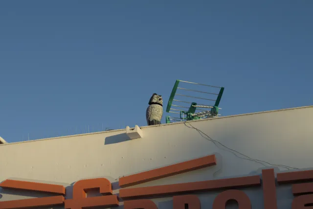 Zenith Helios-77M-4 50mm f1.8 VOMZ (M42) - 00000684.webp