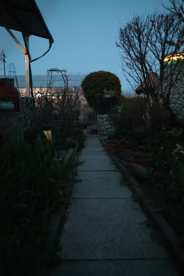 Canon EF 24mm f2.8 (EF) - 00005547.webp