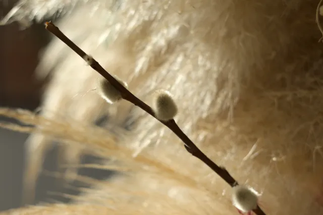 Zenith Helios-77M-4 50mm f1.8 VOMZ (M42) - 00001019.webp