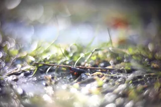 KOWA SUPER PROMINAR-16 50mm f1.2 Eiki 16mm (DIY) - 00001978.webp