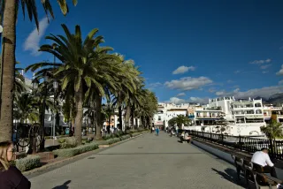 Tokina at-x 116 (EF) - 00000342.webp