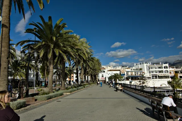 Tokina at-x 116 (EF) - 00000342.webp