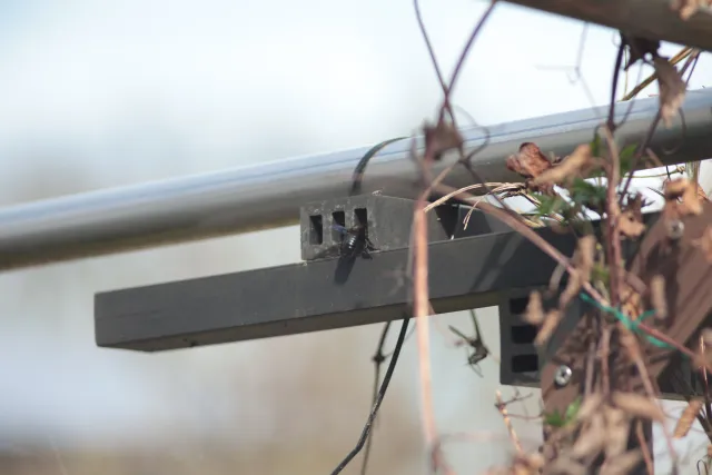 Jupiter-21M 200mm f4 (M42) - 00005650.webp