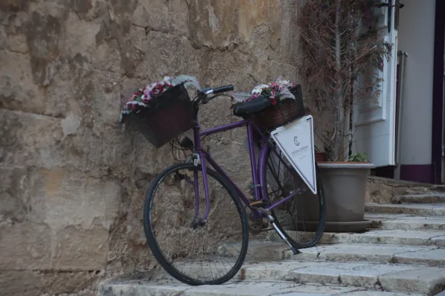 Tair-11A 135mm f2.8 (M42) - 00003512.webp