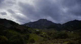 Auto Exaktar EEM 35mm f2.8 ( Minolta MD) - 00002906.webp