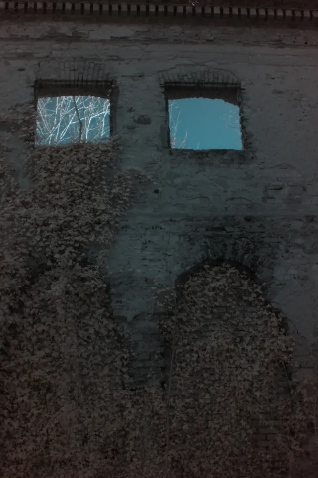 Vivitar 28mm f2.5 (M42) - 00004839.webp