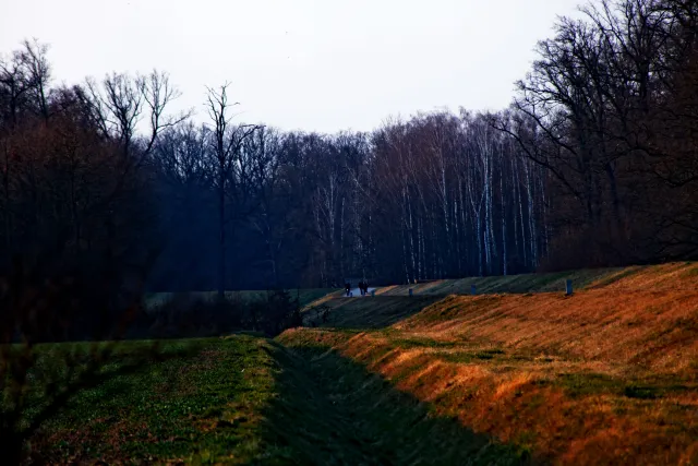 Spiratone Plura-Coat SharpShooter-S 400mm f6.3 (T2-M42) - 00005339.webp