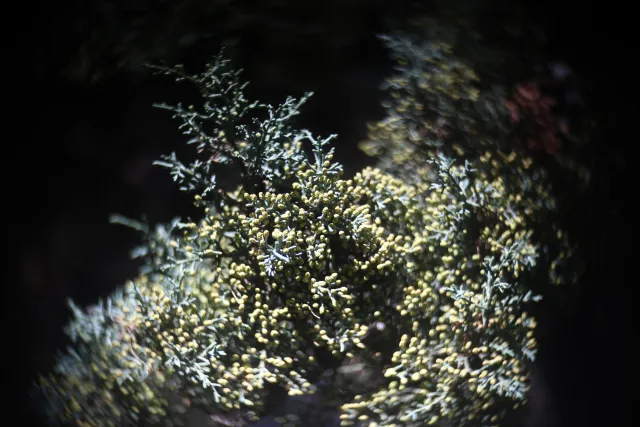 Simplex Ampro Ltd 2.5cala (63.5mm) f1.8 16mm (DIY) - 00003142.webp