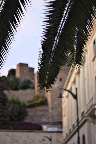 Zenith Helios-77M-4 50mm f1.8 VOMZ (M42) - 00001403.webp