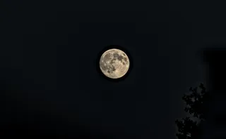 Tamron 28-300mm F3.5-6.3 (EF) - 00000043.jpg