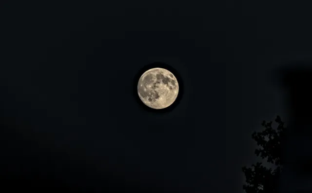 Tamron 28-300mm F3.5-6.3 (EF) - 00000043.jpg