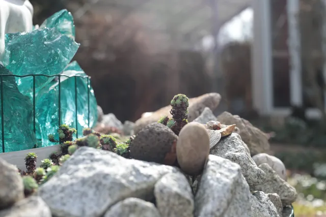 Helios 44-M-2 Trioplan Mod (M42) - 00005150.webp