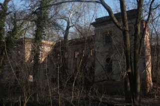 Minolta Rokkor 50mm f1.4 (Minolta MD) - 00004788.webp