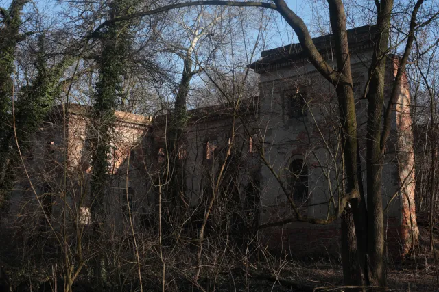 Minolta Rokkor 50mm f1.4 (Minolta MD) - 00004788.webp