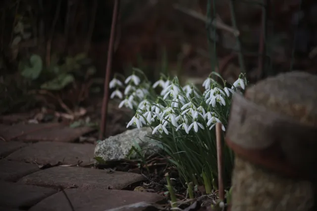 Formula 5 Gold Crown Macro Zoom 60-150mm f4 MC (M42) - 00005008.webp