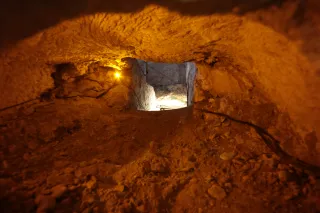 Carl Zeiss Flektogon f4 20mm (m42).md - 00003845.webp